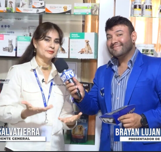 PUBLICIDAD EN TELEVISIÓN - PLAN TRIMESTRAL